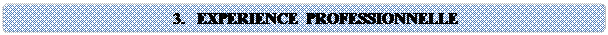 Rounded Rectangle: 3.	EXPERIENCE PROFESSIONNELLE    